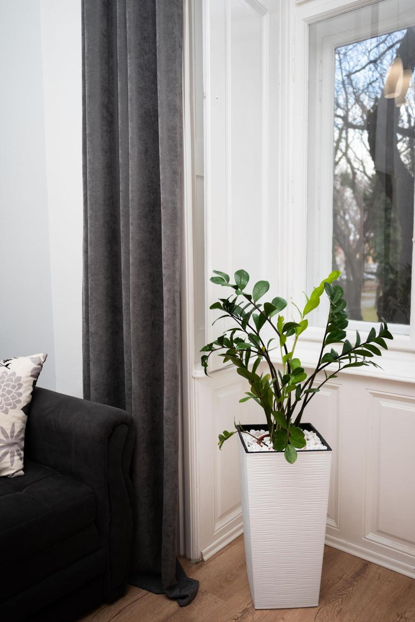 Apartment Hygge Суботица Экстерьер фото